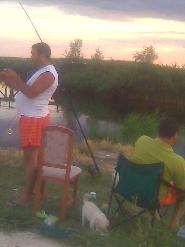 Lunca 1 - image399.jpg